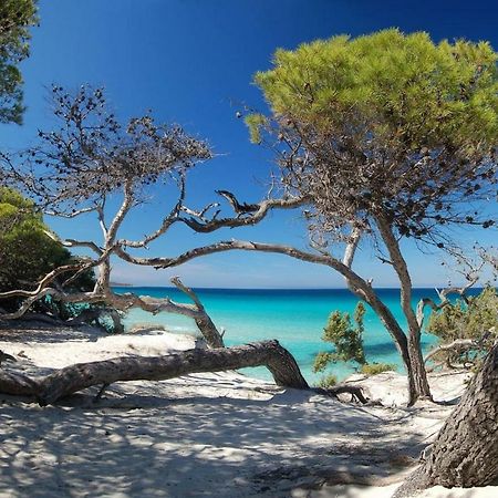 T2 Pour 4 Pers, Charmante Residence Avec Piscine Oletta  Buitenkant foto